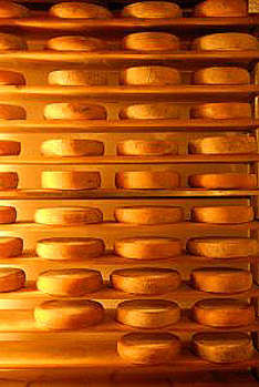 Cheese