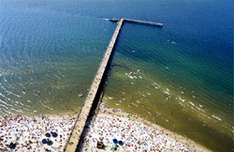 Palanga Palanga
