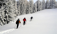 Winter Vacation