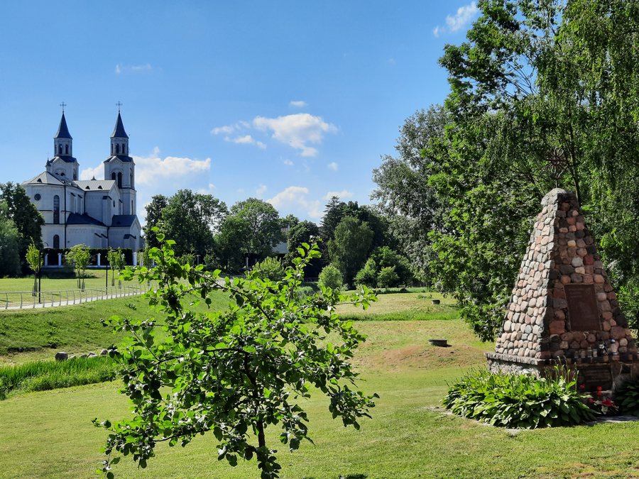 Greenery near the Vilkaviškis Cathedral in Vilkaviškis, Lithuania in 2024 (2)