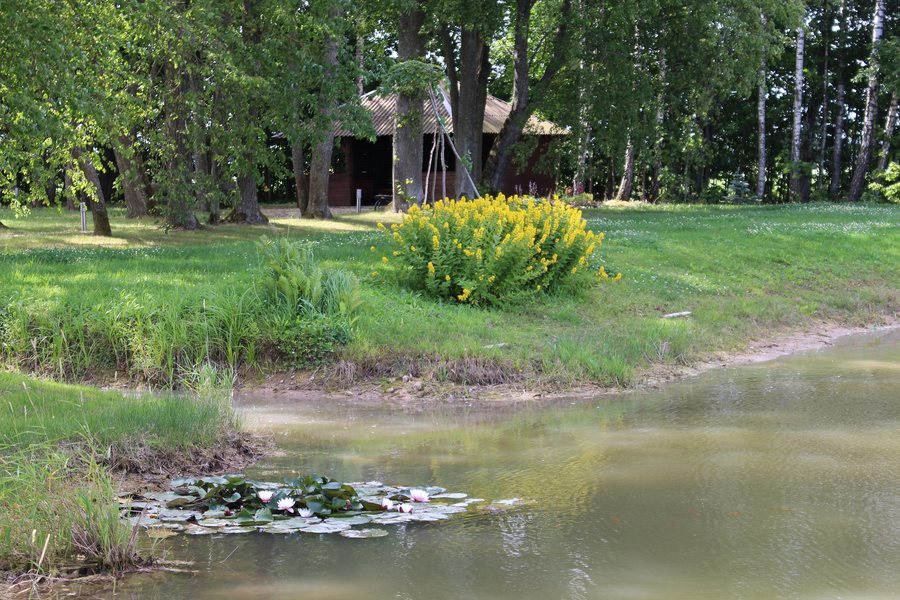 File:Topolis (Kupiškis), pavėsinė.JPG