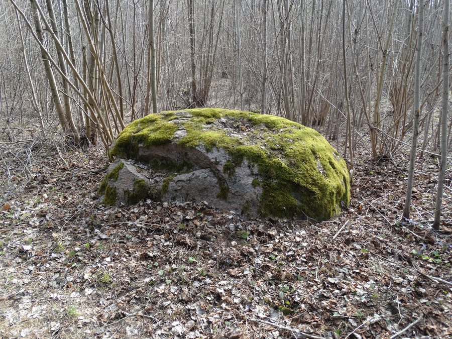 File:Barklainiai, didysis akmuo 2.JPG