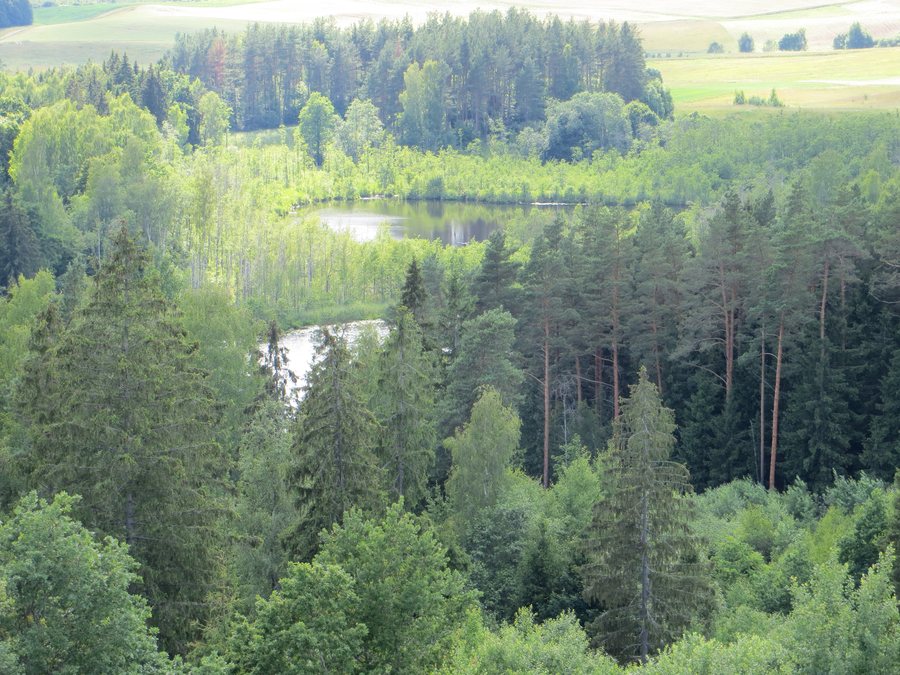 File:Stanislavavas 18107, Lithuania - panoramio (1).jpg