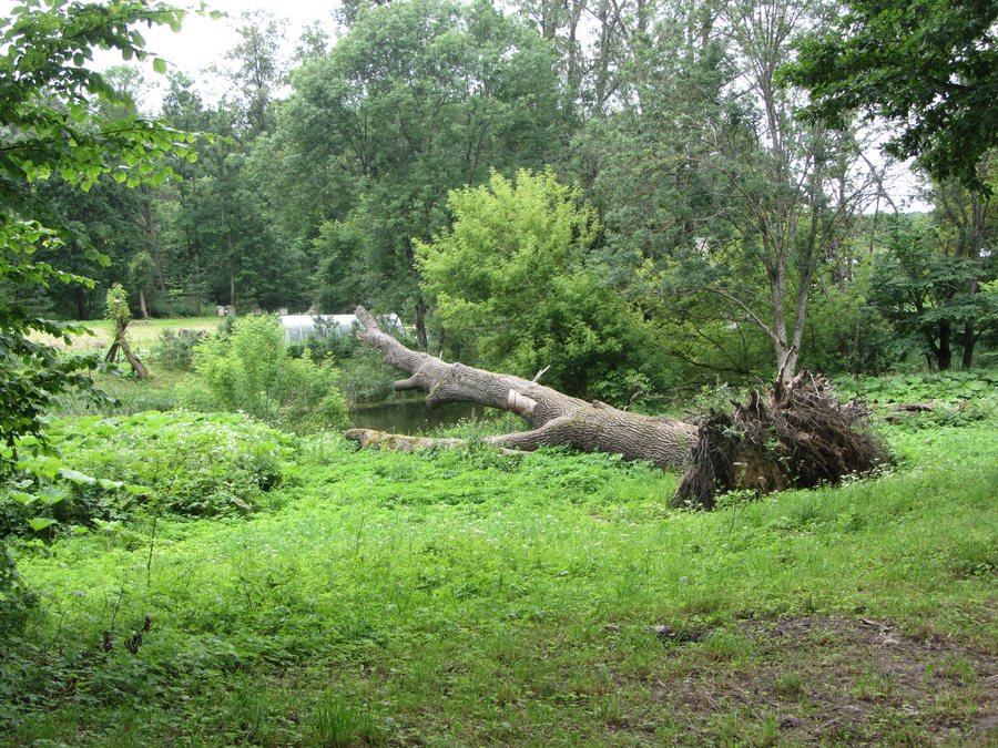 Glitiškės, Lithuania - panoramio (10).jpg