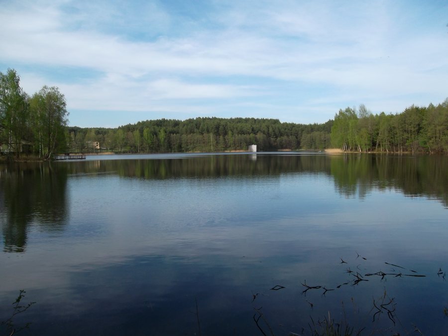 File:Gilusis.JPG