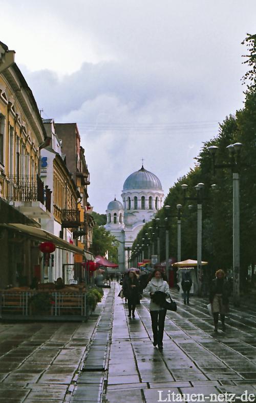 after rain